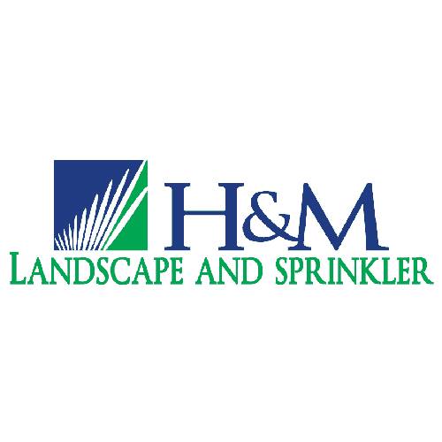 h & M logo